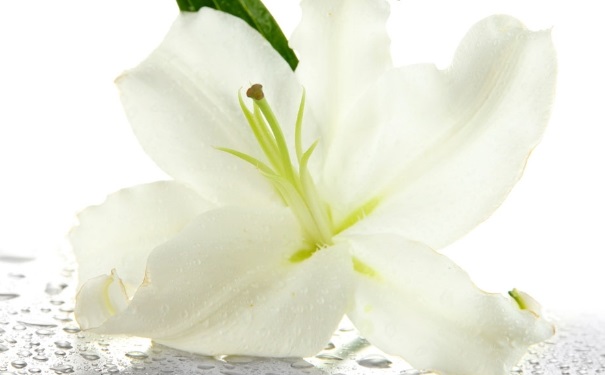 �ٺϻ��Ĺ�Ч����Щ���ٺϻ��Ĺ�Ч������